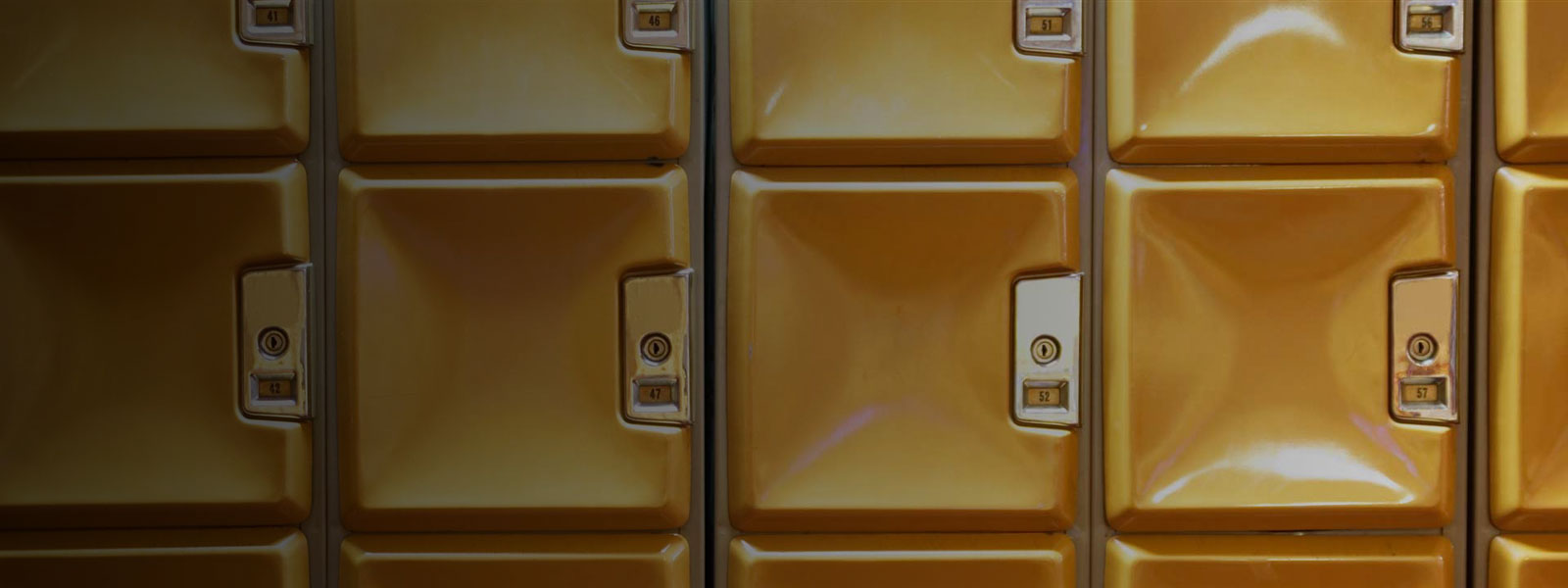 EU General Data Protection Regulation (GDPR): EU's new data protection law